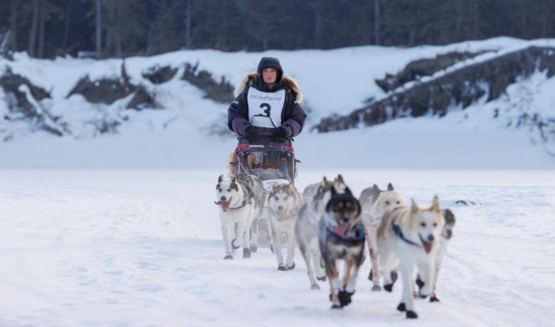 Woman at sled with team of smiling dogs.