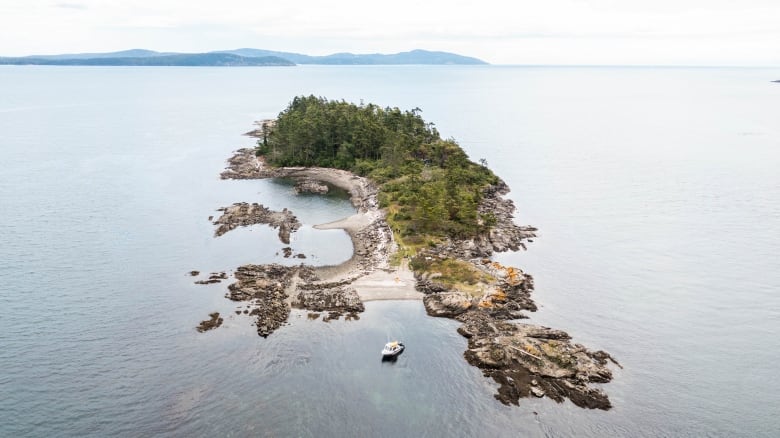 The entirety of a small island is pictured from above. The island has rocky shores and covered in greenery. There are mountains off in the distance. 