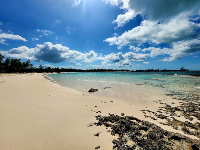 A tropical beach is shown on a sunny day.