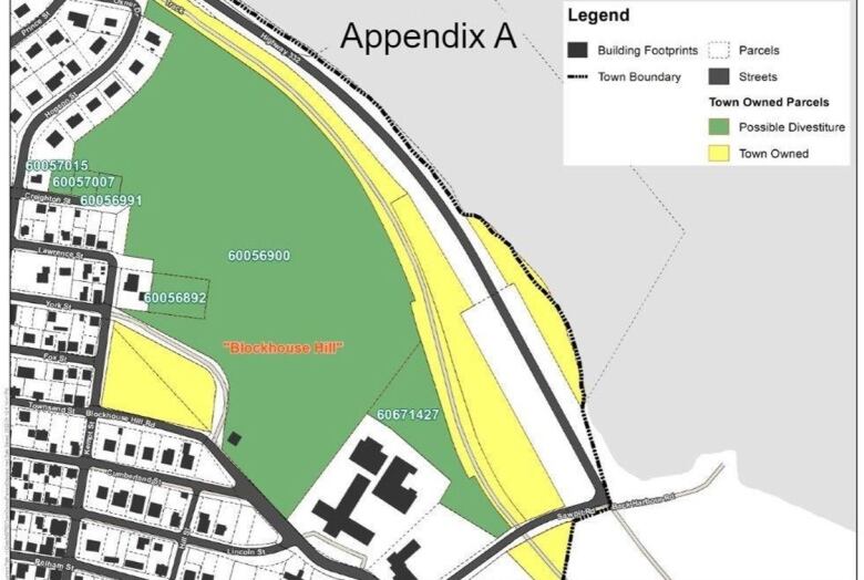 A rendering shows a map of Lunenburg with different shades of green and yellow to indicate town-owned lands and where the development will go.