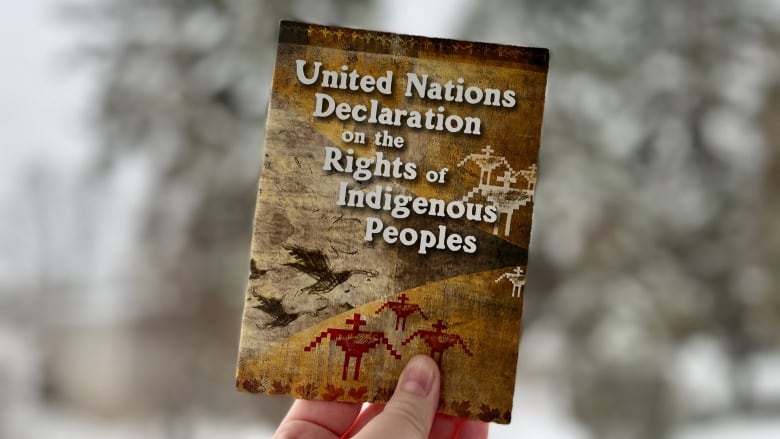 A booklet of UNDRIP held up in the snow.