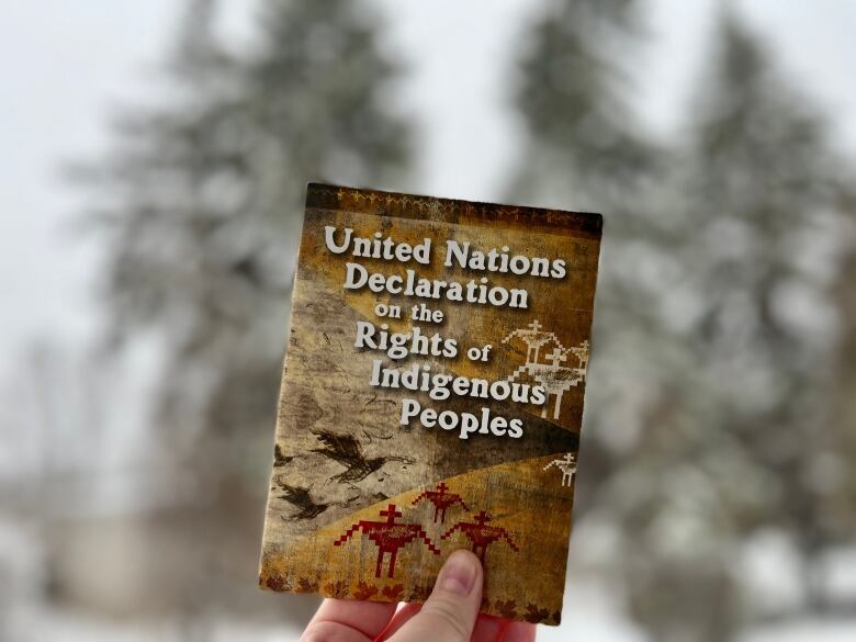 A booklet of UNDRIP held up in the snow.