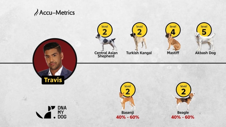 A graphic shows the results of DNA analysis.