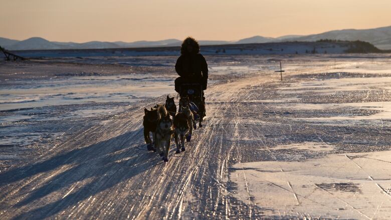 A musher and a sled dog team are seen running toward the camera on a snowy trail with mountains in the distance.