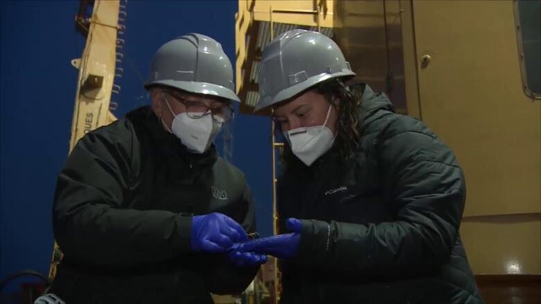 Two women wearing hard hats and N95 masks are pictured on the deck of a ship. Both women wear gloves and in the palm of one woman is a somewhat large white spider. 