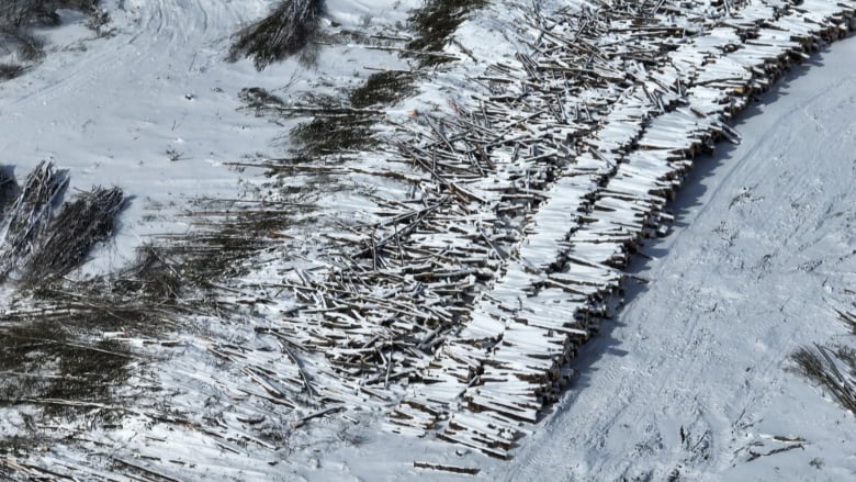 An aerial photo of hundreds of logs piled on clearcut lands in Ottawa's rural south east.