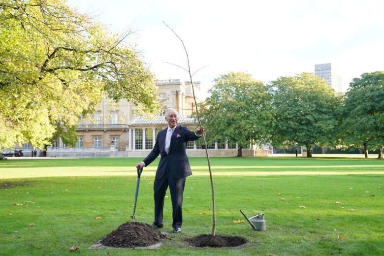 A man plants a tree in a large garden.