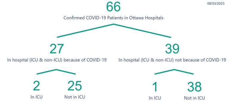 A chart showing the number of people in Ottawa hospitals with COVID.