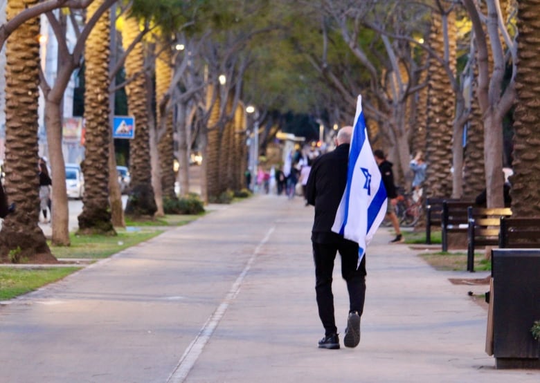 The back of a man carrying an Israeli flag and walking down a path lined with palm trees.