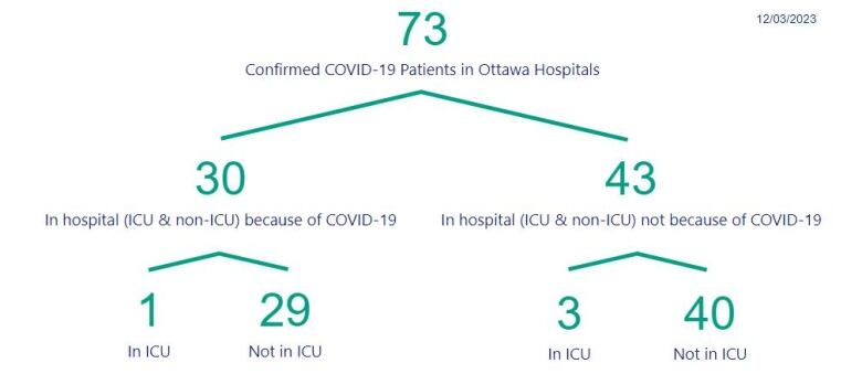 A chart showing the number of people in Ottawa hospitals with COVID.