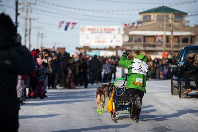 A musher and sled dog team are seen from the back running down a street lined with spectators.