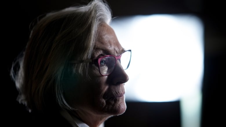 Minister of Mental Health and Addictions and Associate Minister of Health Carolyn Bennett is shown at a news conference.