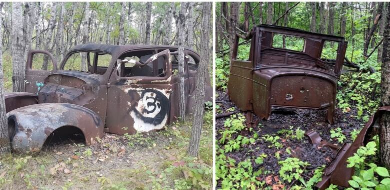 A split photo show two old, rusted shells of antique cars surrounded by trees.