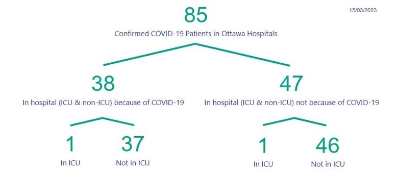 A chart showing the number of people in Ottawa hospitals with COVID.