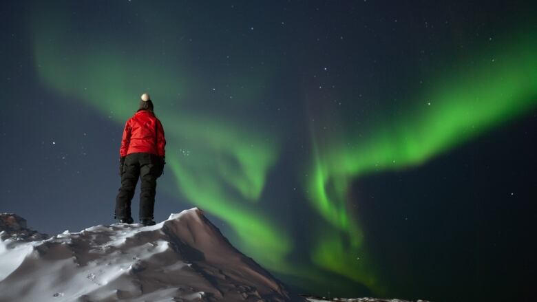 Northern lights are shown against a night sky.