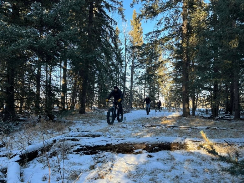 People ride bikes on a trial in a forest.