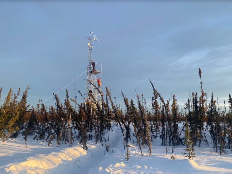 A metal tower stands above the tree line in the winter. It is surrounded by scaffolding upon which a couple of figures can be seen doing work. 