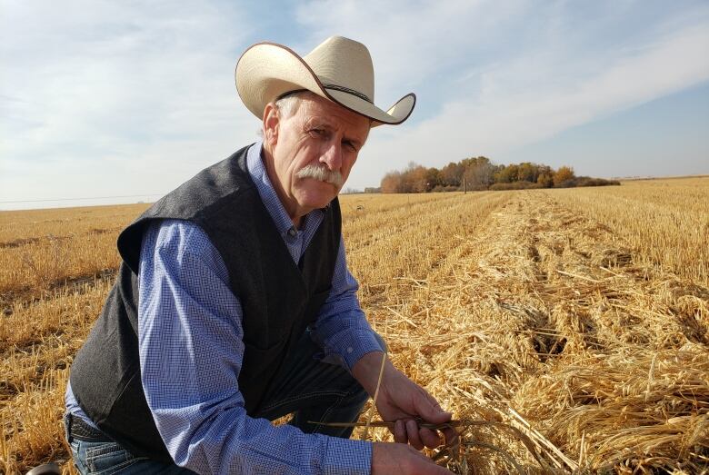 Legumes, specifically alfalfa, help reduce methane emissions while providing a good quality of forage for cattle, according to Bart Lardner, a professor in the Department of Animal and Poultry Science at the University of Saskatchewan.