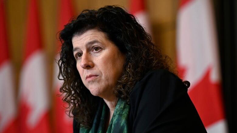 A woman sits in front of a row of Canadian flags.