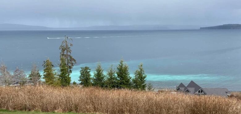 The ocean seen from the coast, where a patch of water is bright turquoise.