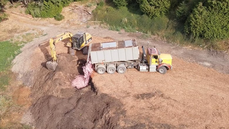 Drone images shared by a Cobble Hill resident shows unauthorized slaughter waste discharged on a neighbourhood farm.