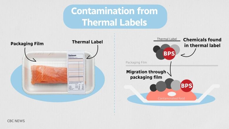 Diagram showing that harmful compounds like BPS travel through packaging into food like salmon. 