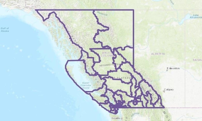 Illustrated map of B.C. with proposed ridings outlined in purple.