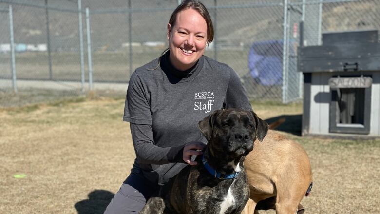 A woman in a grey shirt and pants with a chocolate-coloured dog with a white stripe on its front looking forward and a tan dog looking behind. Behind her is a dog run and a small doghouse.