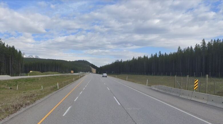 A divided highway surrounded by green fir trees.