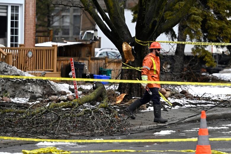 A Hydro Ottawa worker passes a tree branch that took down a power line as crews work to open up a roadways and restore power after Wednesday's major ice storm, in Ottawa, on Thursday, April 6, 2023.