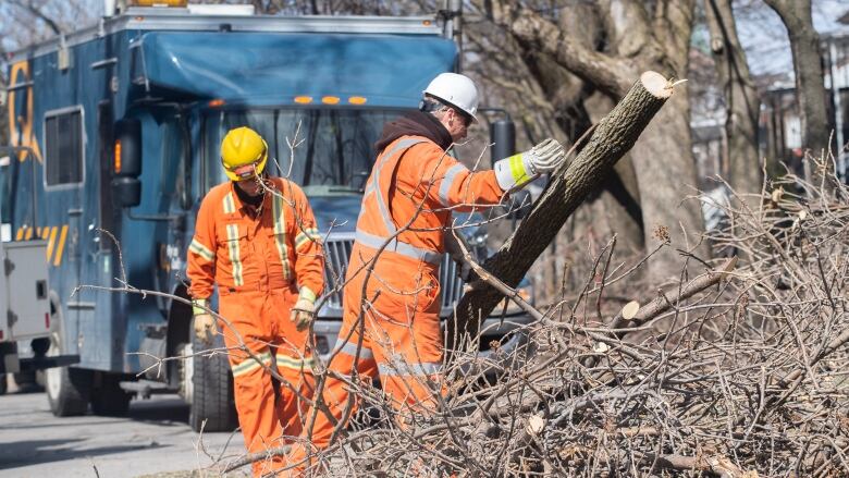 Two people in bright orange uniforms and hard hats work to remove a tree and many branches from a street.  