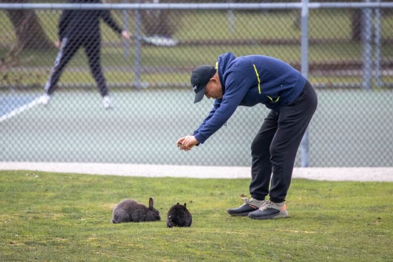 A man stands on a lawn and leans over to take a photo of two rabbits standing near his feet.