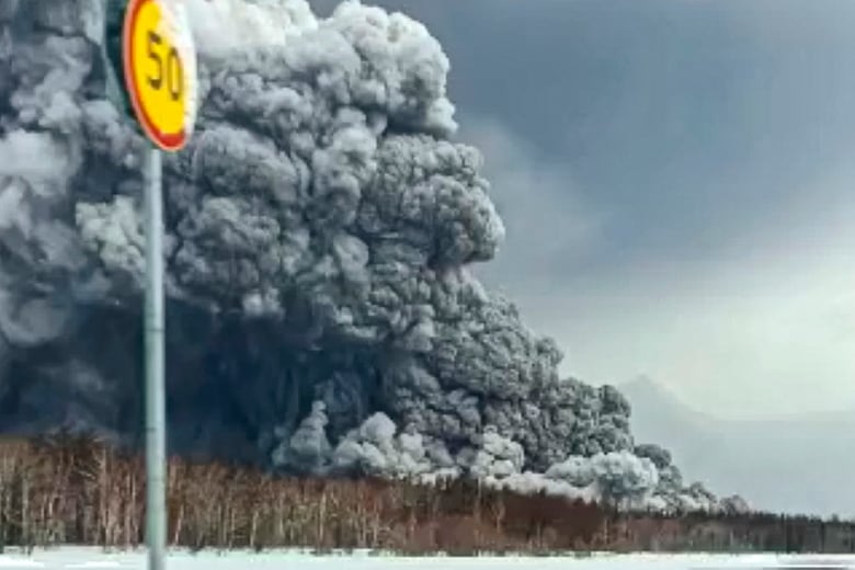 A large cloud of smoke and ash drifts above a line of trees.