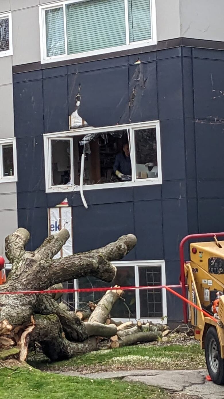 A second-storey window lies smashed, with a tree on the ground.