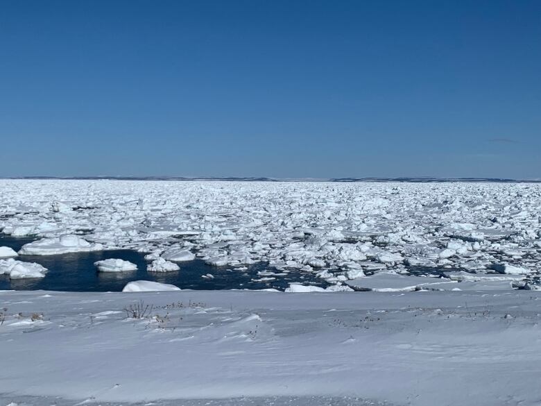 Ice chunks floating in sea water.