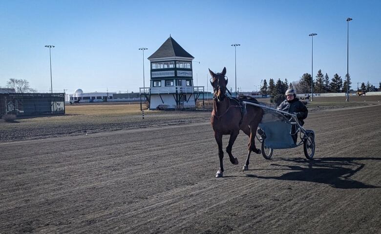 A horse pulling a sulky and driver on the track in Charlottetown