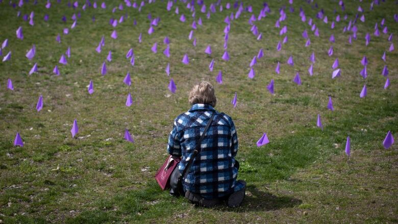 A field of purple flags is pictured with a woman sitting on the grass. 