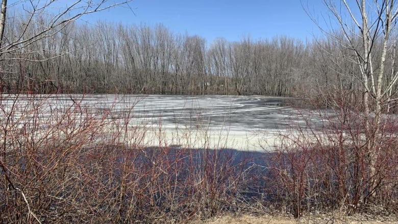 A river with ice on it is surrounded by trees and brush.