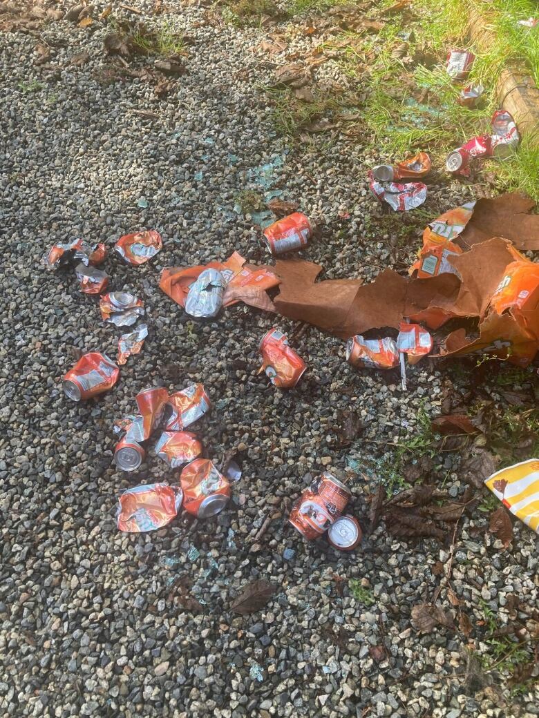 Emptied and crushed cans of orange soda and root bear are strewn across gravel.