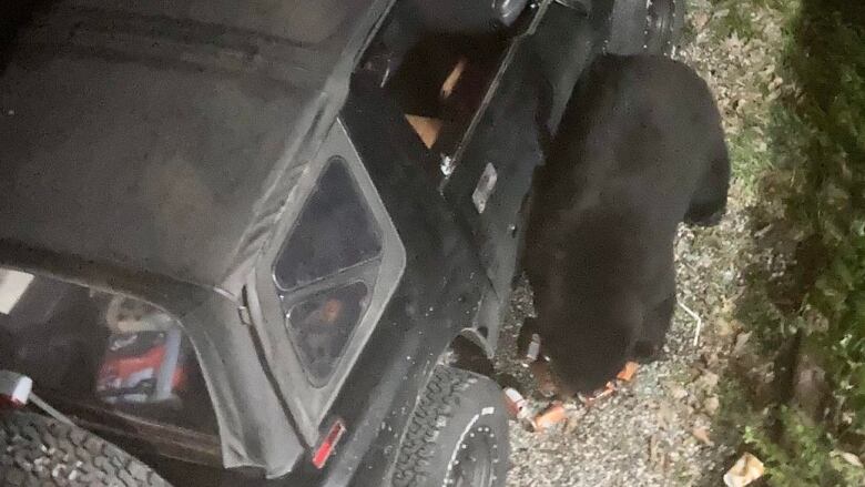 A photo shows a bear beside a car leaning over a case of soda. 