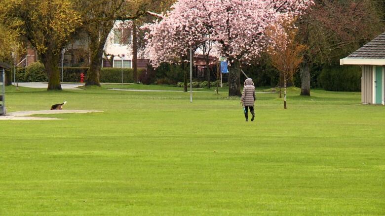 A person with a dog on a green field in a large city park in Vancouver.