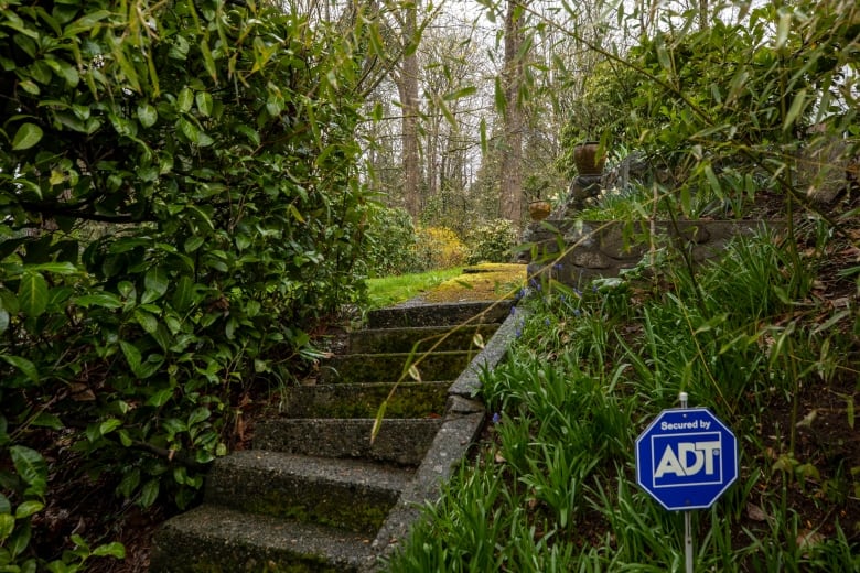 A concrete staircase cutting through shrubs leads into a grassy backard.