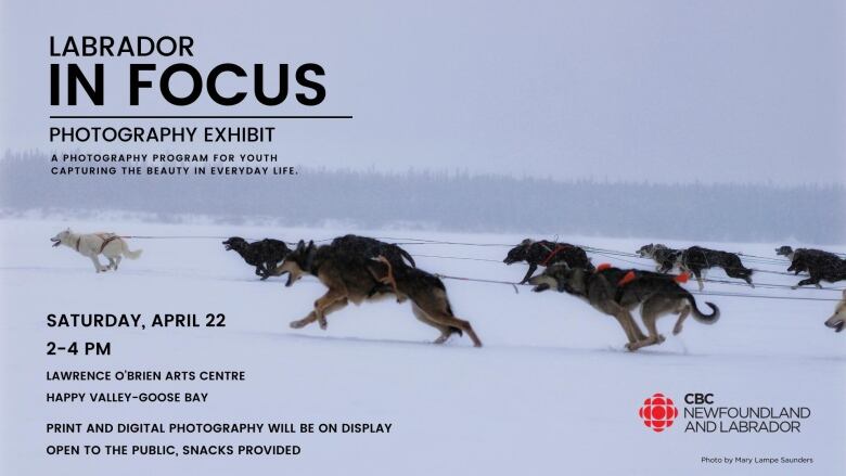 A poster shows a group of sled dogs running. 