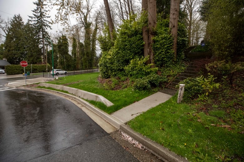 A concrete staircase leads into a forested backyard on a residential street.