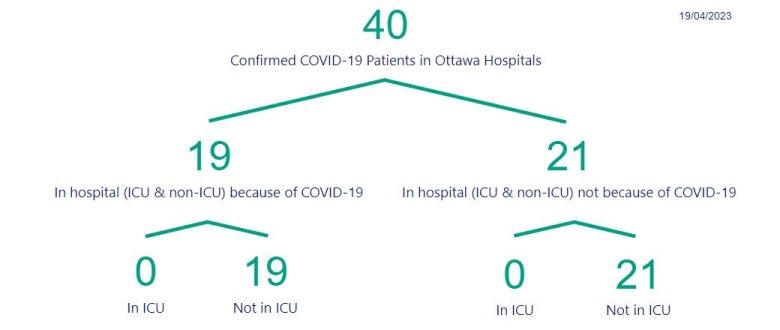 A chart showing the number of people in Ottawa hospitals with COVID.