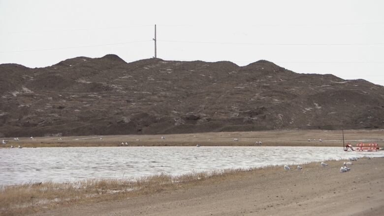 Large piles of dirty, melting snow are found at Regina's snow storage facility.