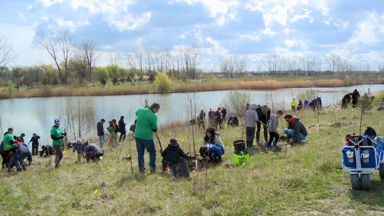 People planting trees next to a large pond