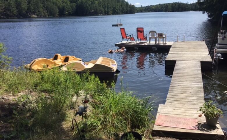 a dock stretches out into a lake, with a pontoon boat and two pedal boats parked on the sides. 