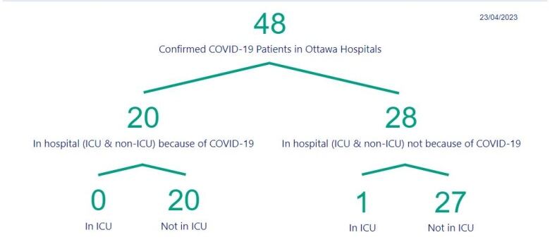 A chart showing the number of people in Ottawa hospitals with COVID.