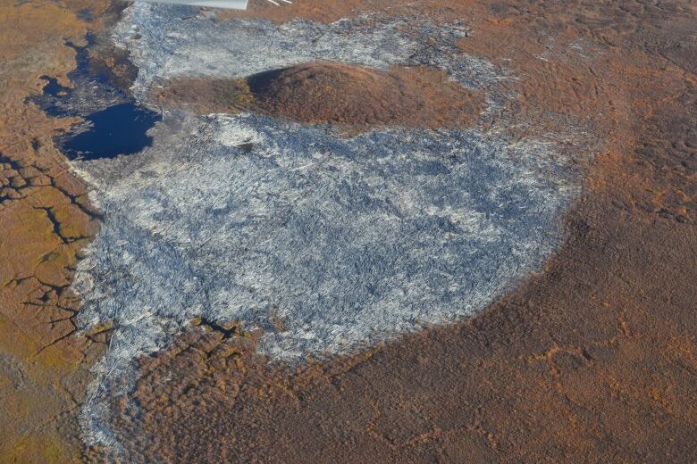 A photo taken from a plane, showing a huge build up of wood surrounded by orange/brown vegetation.